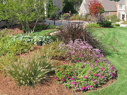 Seasonal Landscape Cleanup
