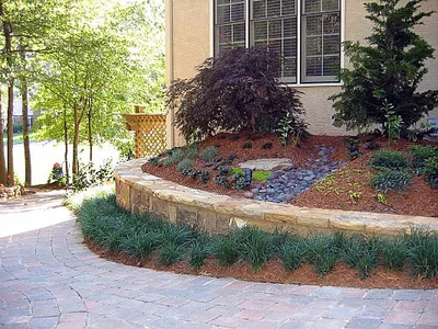 Best Time to Plant Trees and Shrubs, Northwest Georgia
