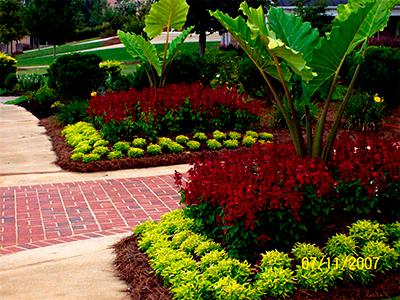 Lawn Care & Landscaping By Dreamscapes Lawn Care & Landscaping By Dreamscapes