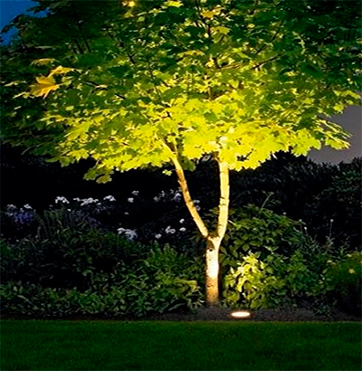 Lighted Tree Accent