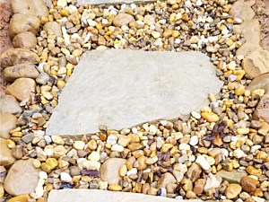 Photo 199