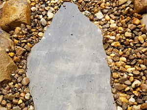 Photo 201