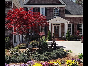 Landscaping, Powder Springs, GA