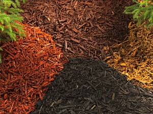 Garden Mulch