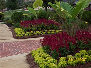 Landscaping