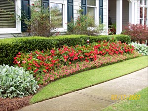 Landscaped Garden