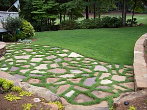 Lawn Maintenance, Sandy Springs, GA