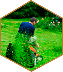 Lawn Care, Acworth, GA